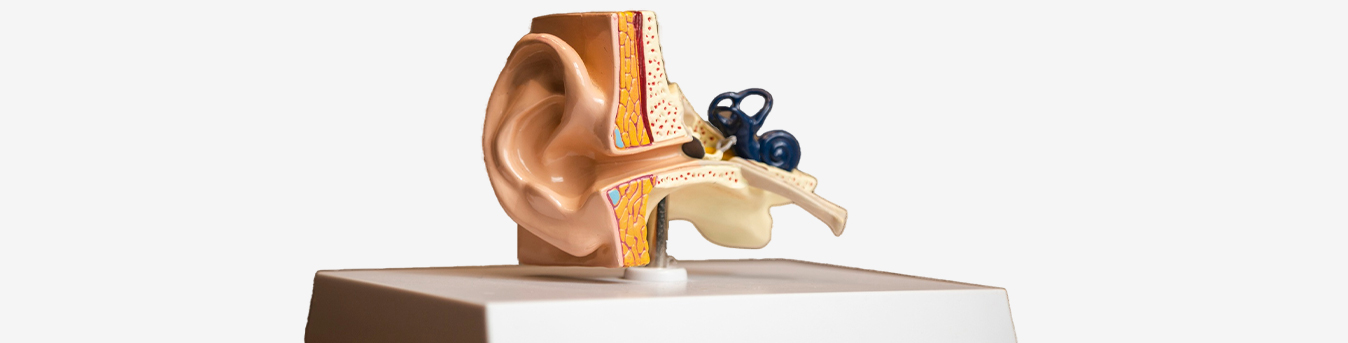 Cochlear Implant: A revolutionary Bionic Ear