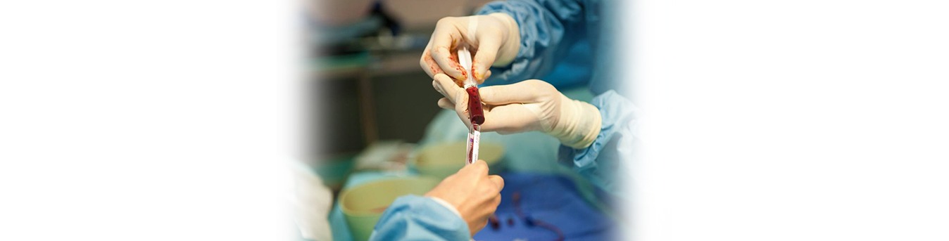 Busting some common myths about Bone Marrow Transplant